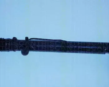 triscan-851016414