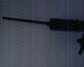 triscan-851024408