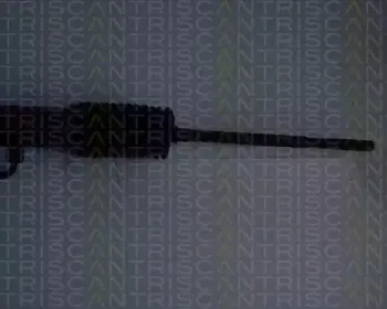 triscan-851024408