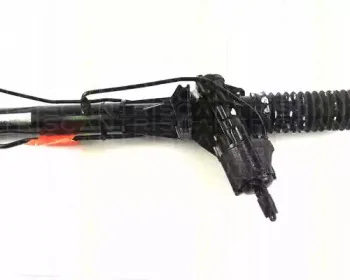 triscan-851027409
