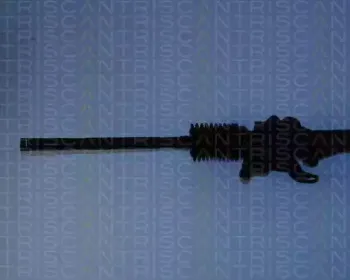 triscan-851028407