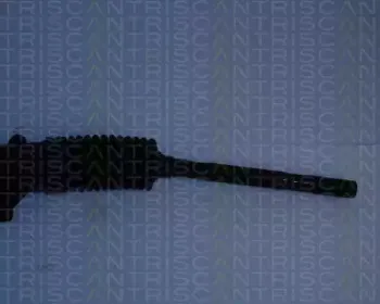 triscan-851028411