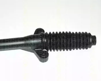 triscan-851029302