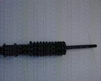 triscan-851041302