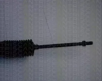 triscan-851042401