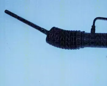 triscan-851050406