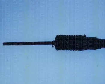 triscan-851069303