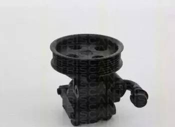 triscan-851516628