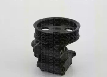 triscan-851516628