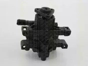 triscan-851516632