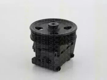 triscan-851516637