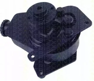 triscan-851527607