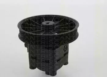 triscan-851527616