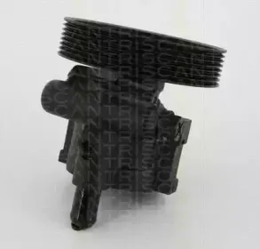 triscan-851529637