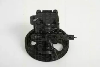 triscan-851542603