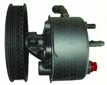 triscan-851580602