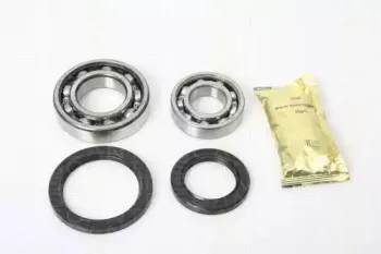 triscan-853011209