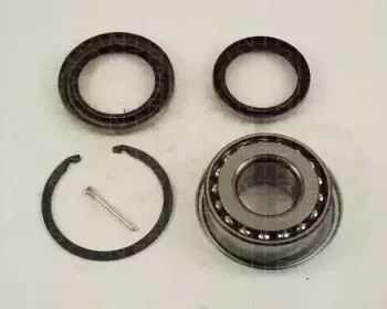 triscan-853013122