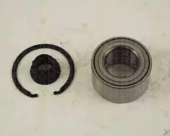 triscan-853013128