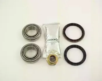 triscan-853016107