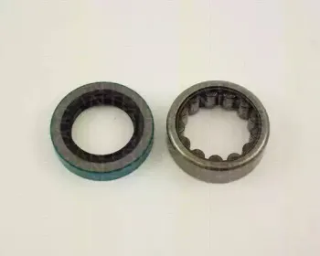 triscan-853016234