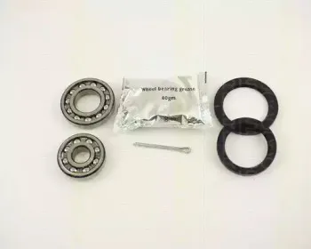 triscan-853017204
