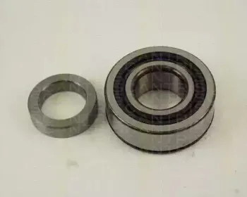 triscan-853024215