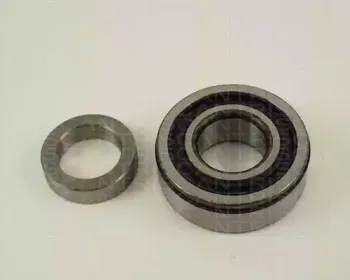 triscan-853024220