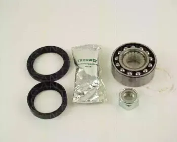 triscan-853025107