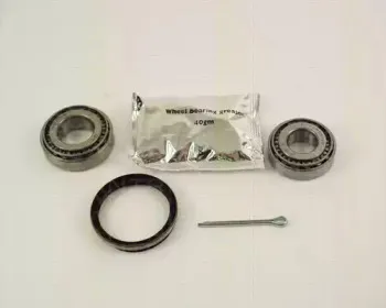 triscan-853025208