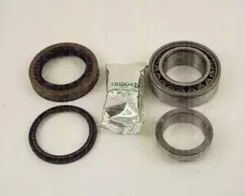 triscan-853025213