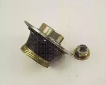 triscan-853025230