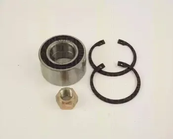 triscan-853027107