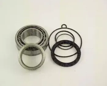 triscan-853029215