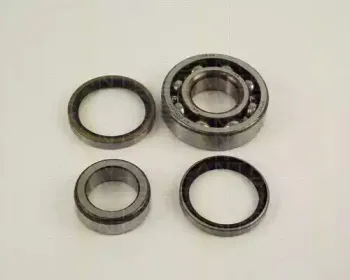triscan-853041203