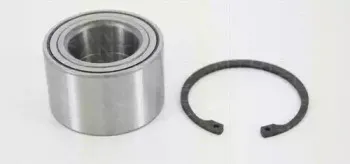 triscan-853042220