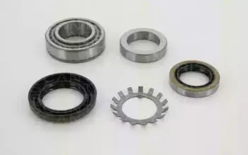 triscan-853043240