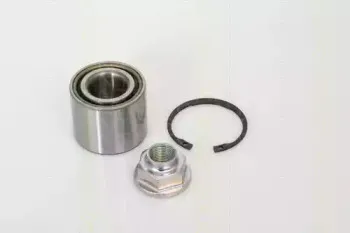 triscan-853069213