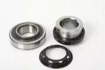 triscan-853069214