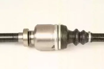 triscan-854010521