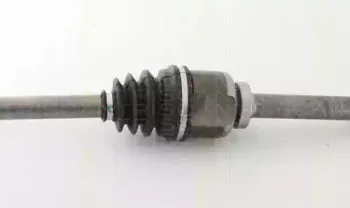 triscan-854010527