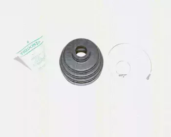 triscan-854010802