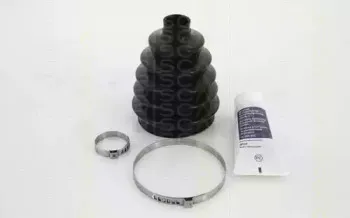 triscan-854010828