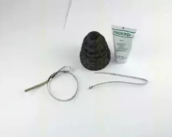 triscan-854010904