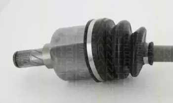 triscan-854011530