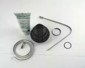 triscan-854012701