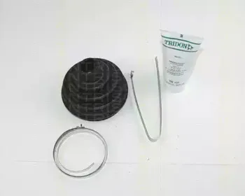 triscan-854012804
