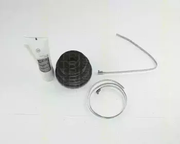 triscan-854012902