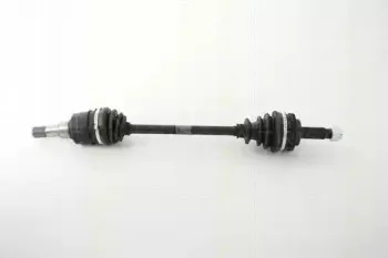 triscan-854013529