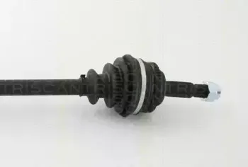 triscan-854013530